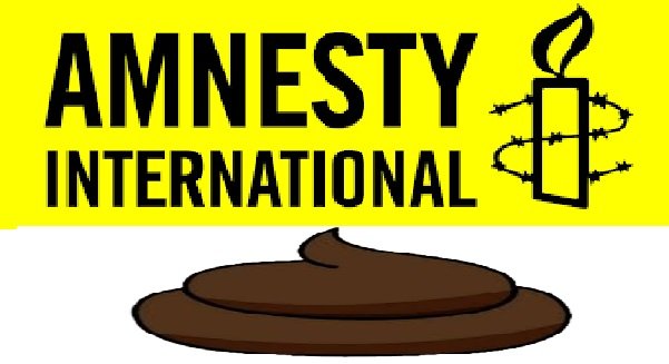 Amnesty International - это г@вноеды или идиоты?
