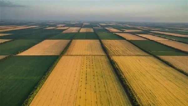 "Это манипуляция". Аграрный министр объяснил, почему всем украинцам не достанутся бесплатные 2 га земли