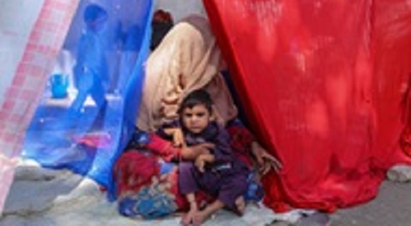Украина назвала условие приема афганских беженцев