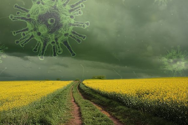 Эмидемия коронавируса: 5 причин, почему ситуация в Украине будет на много хуже чем в Италии и Испании