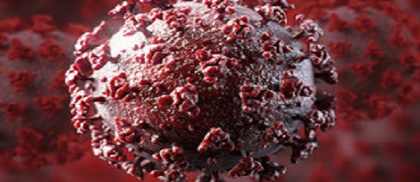 Коронавирвирус - хроника пандемии. Данные на 24 августа