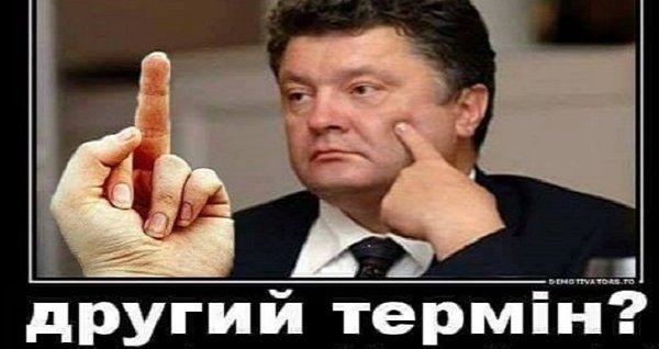 Лиза Богуцкая: На абсолютно идиотский вопрос "А кого вы предлагаете вместо Порошенко?", отвечаю...