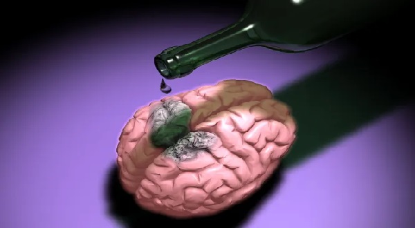Правда или миф: алкоголь убивает клетки мозга