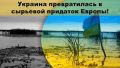 80% всего нашего экспорта - сырье и полуфабрикаты