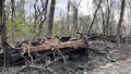 Бои на Белгородщине в РФ: легион "Свобода России" дронами уничтожил п!дорские танки под Шебекино