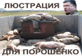 «Дальше действовать будем мы!»: то, что начали гонять Порошенко — правильно