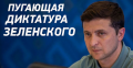 Демократия на сверхавторитарных скоростях: нужно ли бояться «диктатуры Слуги народа»?