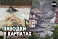 Карпаты не выдержали: Из-за варварской вырубки лесов начался Армагедец! Города и села идут под воду! Фото, Видео