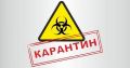 "Максимально соблюдать карантин": У ЗЕ дали прогноз, когда Украина вернется к нормальной жизни