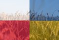 О культуре партнёрства:  Аграрно-логистический конфликт Украины и Польши, которого не должно было бы быть