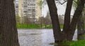 Половодье: В Киеве резко упал уровень воды