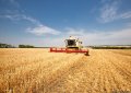Рекордный урожай – рекордные цены на продукты. Эксперты объяснили парадокс на украинском рынке