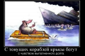 Лиза Богуцкая: В БПП и АП паника. Но Петя будет цепляться за власть до последнего вздоха