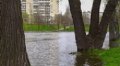 В Киеве резко упал уровень воды в Днепре