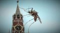 ВСУ сообщили: Севастополь атаковали "боевые комары"