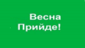 Закрытый экзит-полл: свежие цифры от ЗЕкоманды