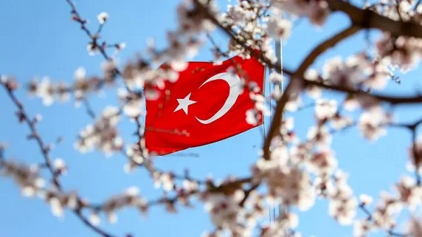 Турция отменит требование об обязательном ПЦР-тесте для украинских туристов, но введет новое правило