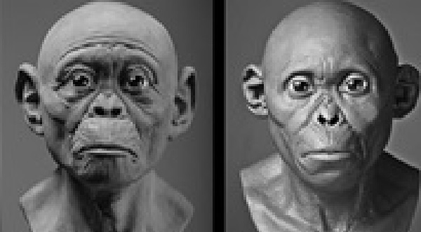 Ученые воссоздали облик древних предков человека