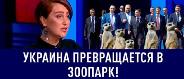 Украина превратилась в зоопарк: как тут жить нашим детям? Во власти худшие из худших, - Егорова. ВИДЕО