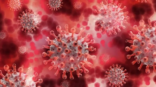 Индийский штамм коронавируса "Дельта" мутировал в более заразный и опасный вариант "Дельта плюс"