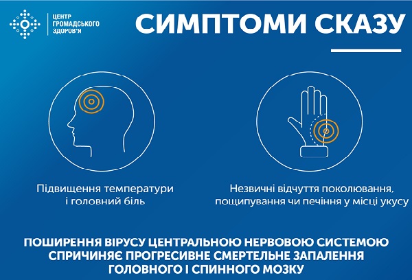 В МОЗ объяснили украинцам, как спастись от смертельно опасного бешенства и что делать, если укус уже произошел