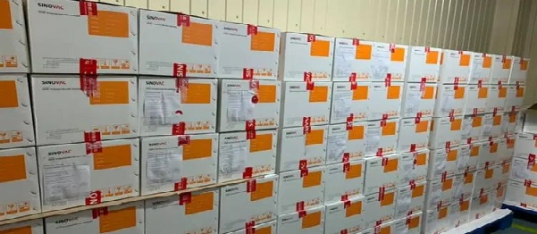 В Украину прибыла китайская вакцина Coronavac