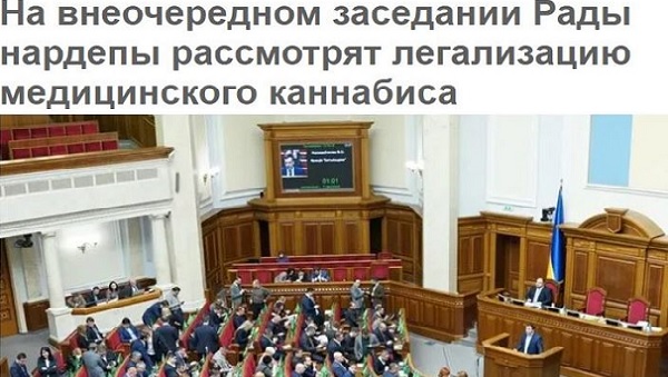 Верх Зе-цинизма! Требовать, как самое актуальное, принять Закон про выращивание наркоты в Украине