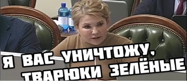 Тимошенко порвала Раду за воровство на тарифах. ВИДЕО